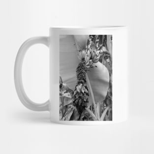 Tropical Plantation Maui Study 8 Mug